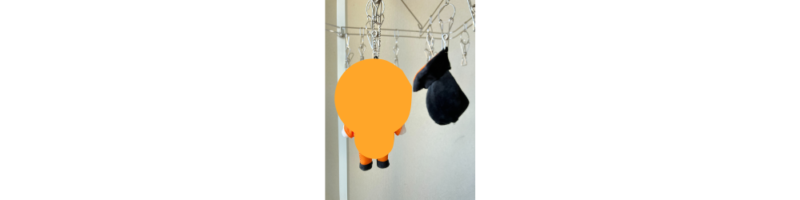 洗濯バサミで干してるぬいぐるみ